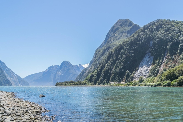 Milford Sound, New Zealand